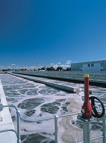 Activated sludge process