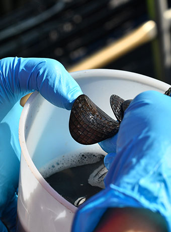 Sjölunda (Sweden) Case study n°2